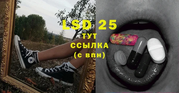 spice Магас