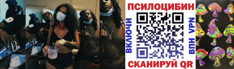 что такое   Шатура  Галлюциногенные грибы Cubensis 