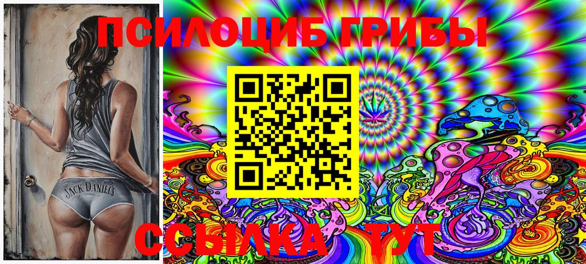 Псилоцибиновые грибы Psilocybe  закладка  Шатура 