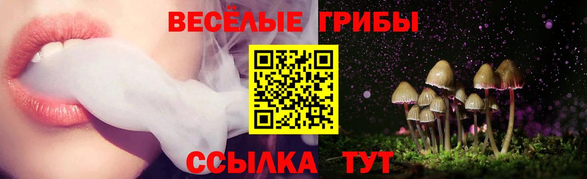 Псилоцибиновые грибы Psilocybe Шатура
