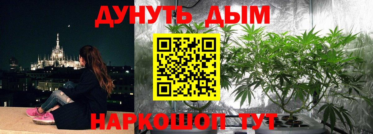 Конопля SATIVA & INDICA Шатура